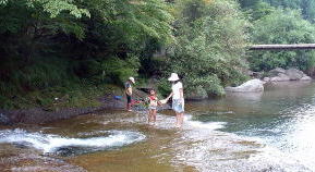 ȂYR