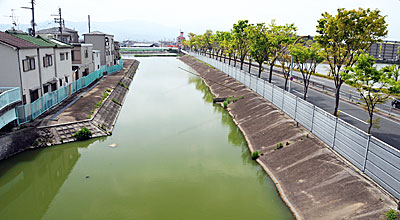 18) 長池の様子・北側の細い部分(北より)