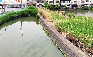 20)長池の中堤の残存部分(北東より)