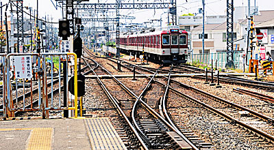 �F �{���z���Ɍ��������グ��(�쓌���)