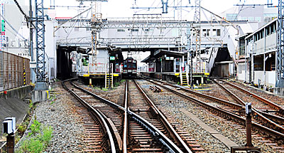 �D ���䎛�P�����؂��猩���w�\��(�����)