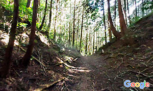 B) 704号竹内河南線の平石峠付近