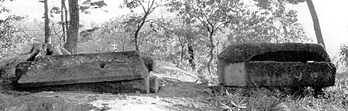 ④ 長持山古墳の家形石棺(左１号棺・右２号棺)