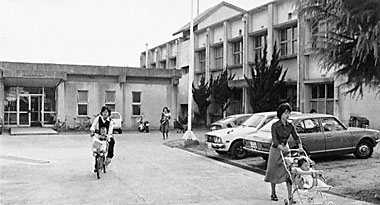 旧藤井寺保健所(北東より)