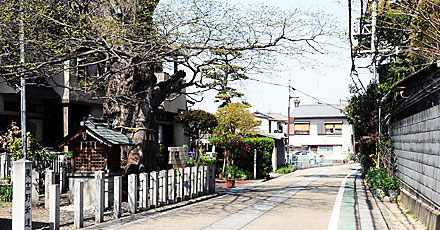 ⑨ 東高野街道(南より)