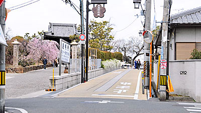 ⑬ 東高野街道(南より)
