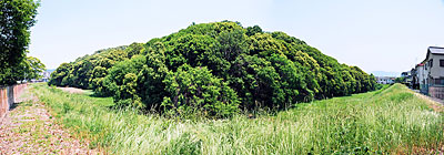 ④ 仲津山古墳墳丘と周濠の様子(西より)