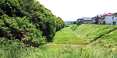 ⑥ 仲津山古墳の周濠と周堤(北西より)