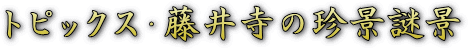 �^�C�g���E�g�s�b�N�X�E���䎛���i��i