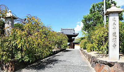 1) 道明寺山門前の参道(南より)