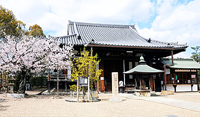 4) 道明寺本堂(南東より)