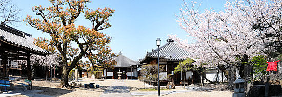 5) 山門より見た境内の様子(南東より)