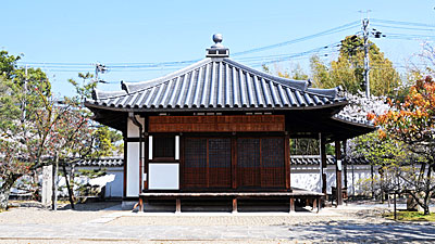 7) 護摩堂と八重桜(西より)