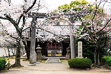 10) 土師社鳥居と拝殿(東より)