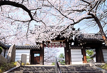 2) 道明寺天満宮神門(南より