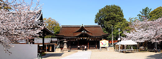 3) 道明寺天満宮拝殿と周辺の様子(南より)