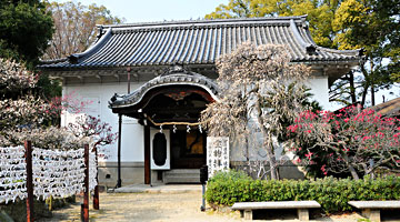 32) 宝物館(東より)