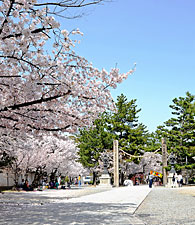 4) 社殿への参道(南より)