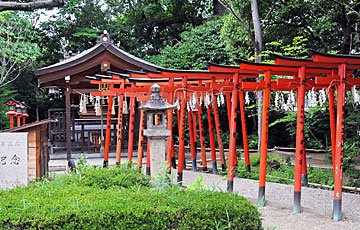 ⑩ 末社・春日稲荷神社(南より)