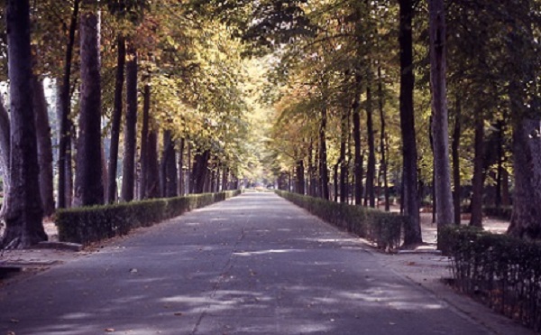 aranjuez4.jpg