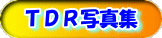 ��ʐ^���B���Ă݂܂�����