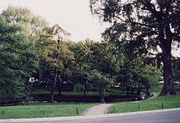 LpXĂĂĂ