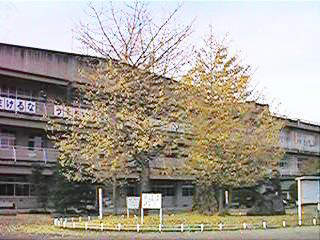 ��ꏬ��C�`���E