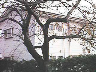 ���u���ꂽ�������̌���