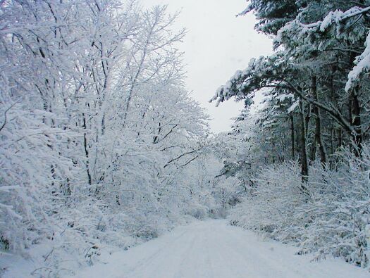 �^�����ɕς�������E