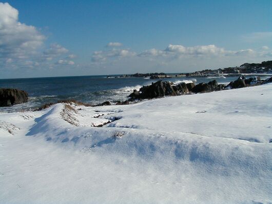 ��̎퍷�C�݂��