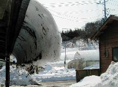 2003.3.14.