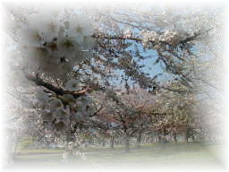 2003.4.23