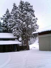 2005.2.10