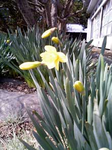 2005.4.19