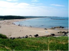 ���l�C������