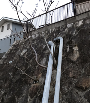 散歩