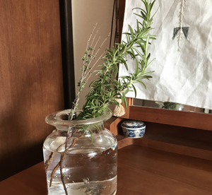 ハーブたち