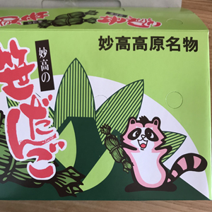 笹団子