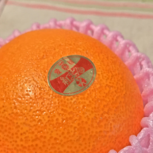 紅まどんな
