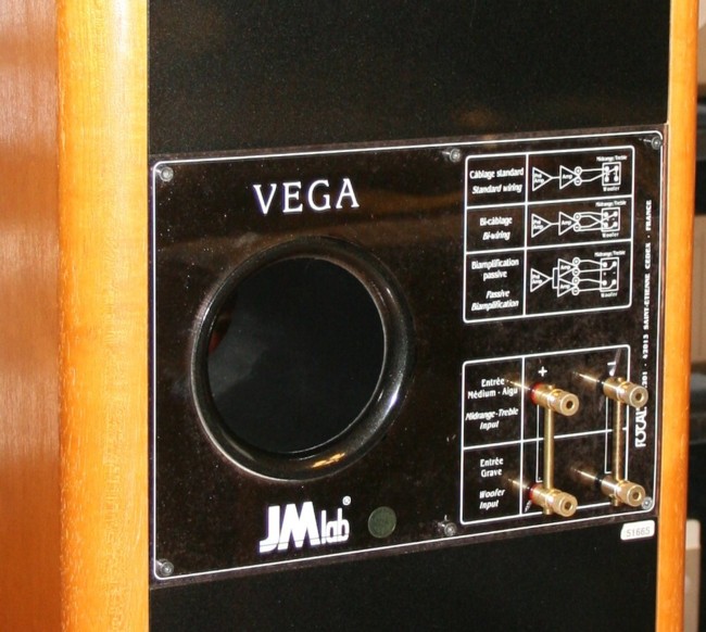 VEGA Rear Side