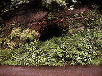 ������Ɣ`��