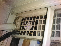 ���C�p�t�@��