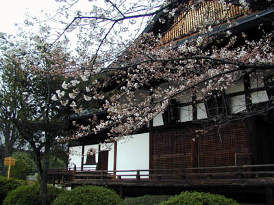 �L���������̍�