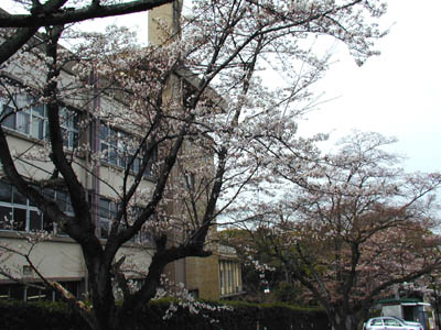 ���s���q��w�O�̍�