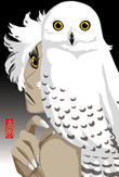 �|�X�g�J�[�h
