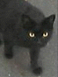�ʐ^