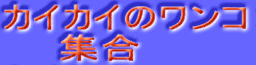 �J�C�J�C�̃����R �@�@�W��