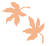 10momi6.gif