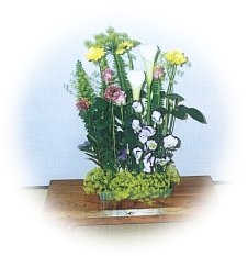 flower71