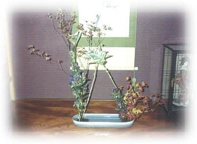 hana105